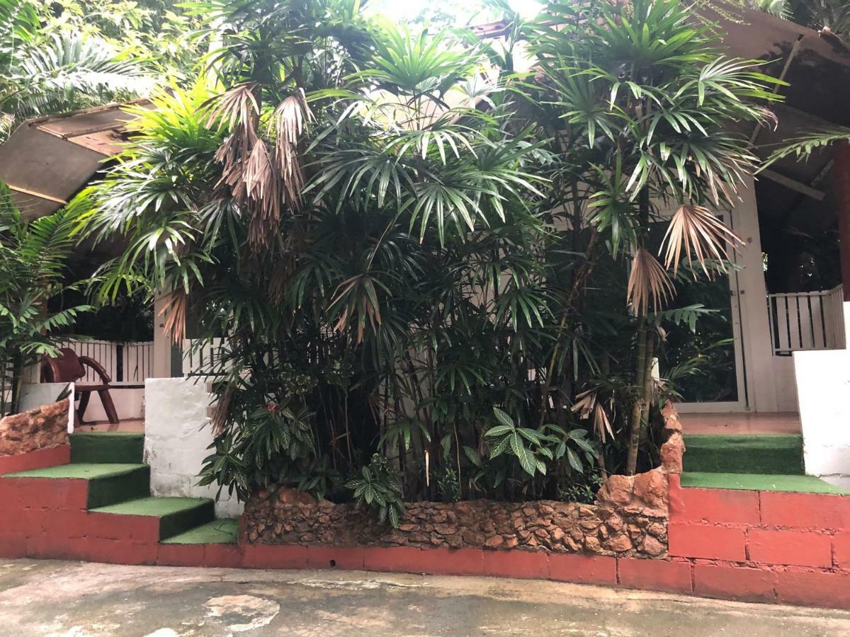 Pine Bungalow Krabi town Dış mekan fotoğraf